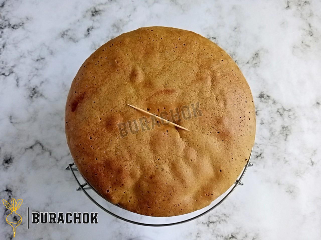 Шарлотка з м'ятою